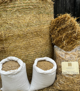 image of grain products